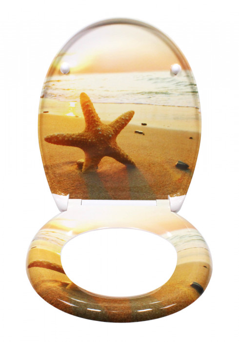 Schütte Sea Star | Duroplast, Soft Close