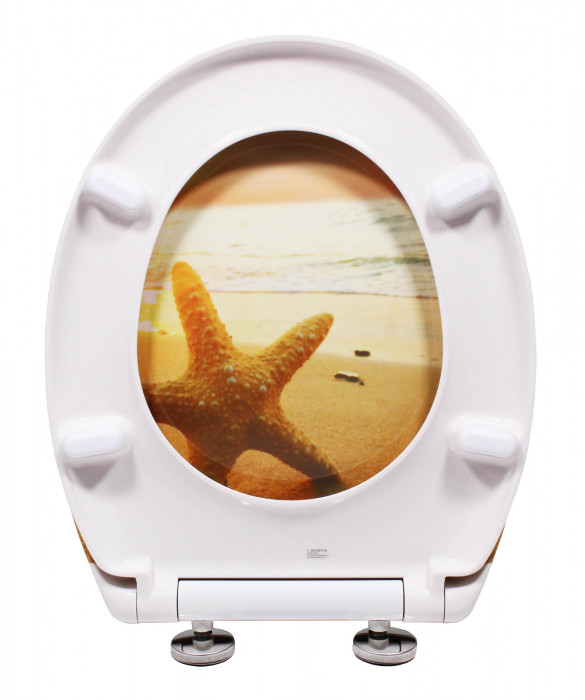 Schütte Sea Star | Duroplast, Soft Close