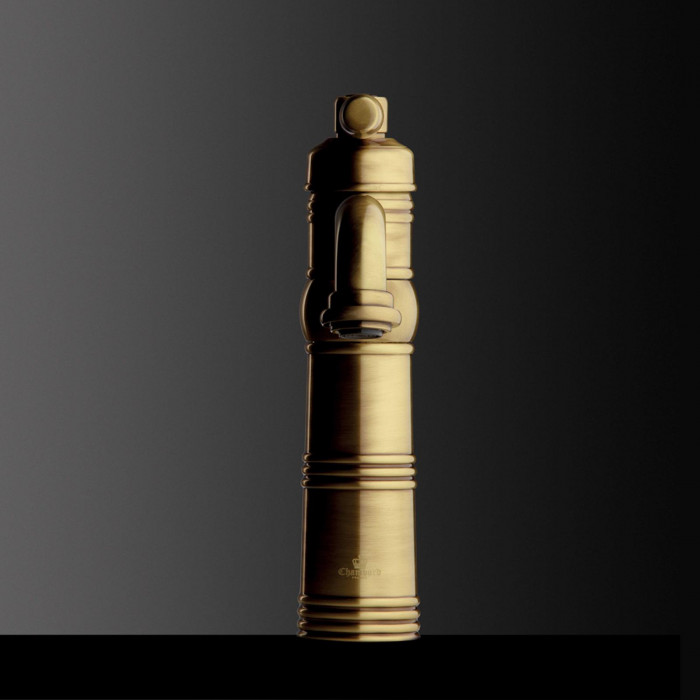 Chambord Clemence antický bronz