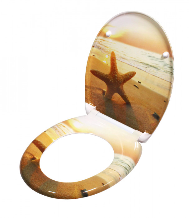 Schütte Sea Star | Duroplast, Soft Close
