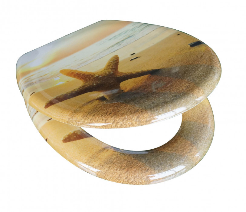 Schütte Sea Star | Duroplast, Soft Close