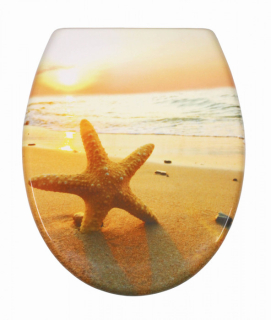 Schütte Sea Star | Duroplast, Soft Close