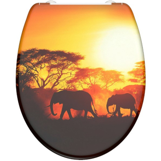 Schütte Africa | Duroplast, Soft Close